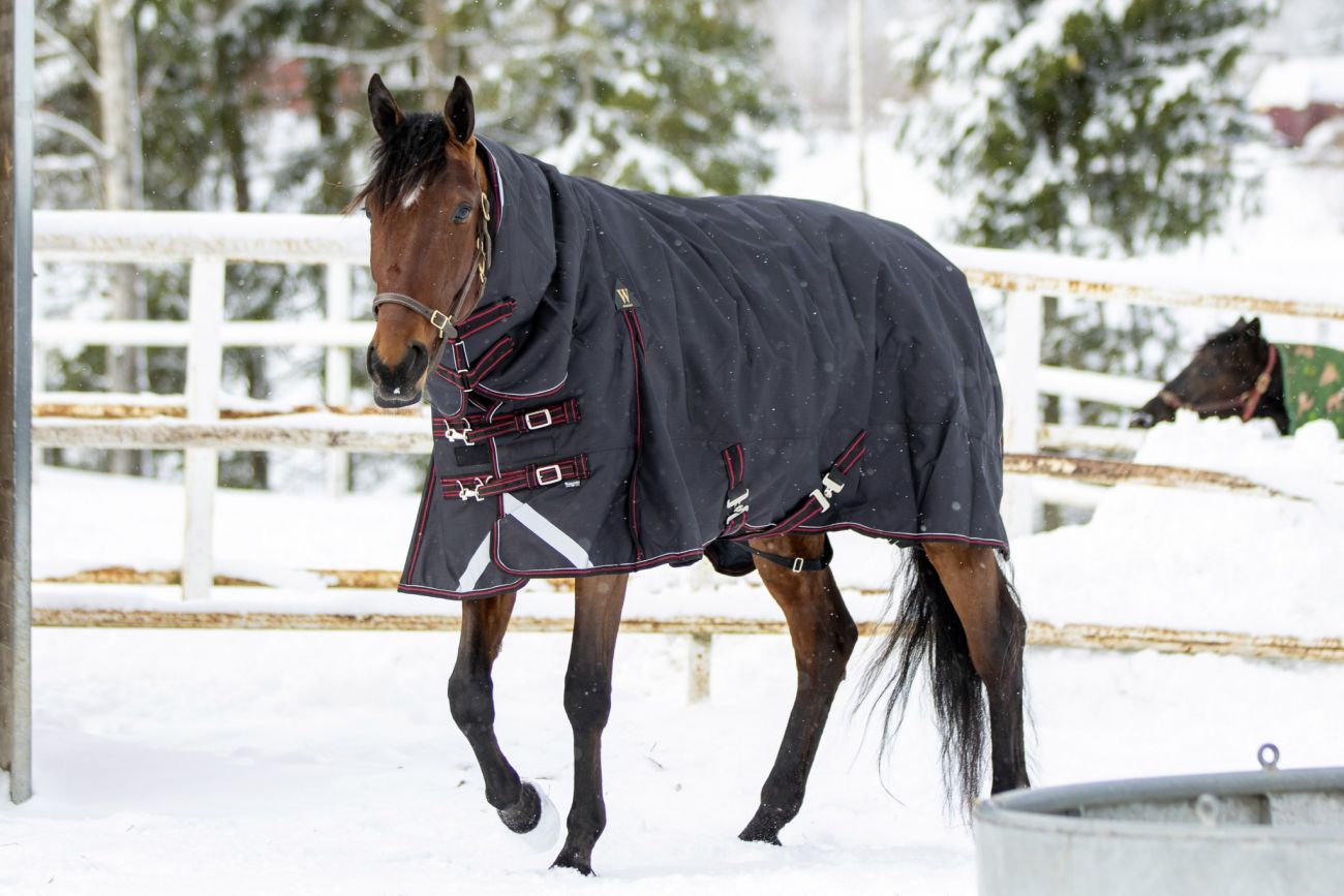 Непромокаемая попона с полной шеей "Horse Comfort" на утеплителе 300 г/м. 1200 ден. Суперкрепкая!