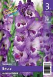 Гладиолус Виста ( Vista), 10/12, 3 шт.,Колорлайн