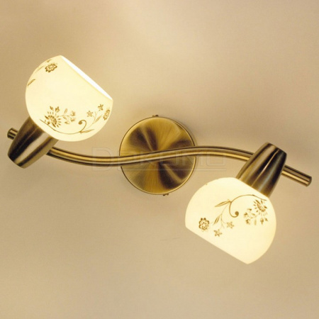 Спот Соната CL520523