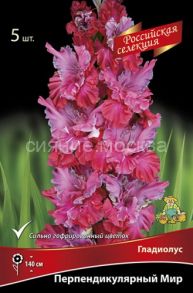 Гладиолус Перпендикулярный мир крупноцветковой "Российская селекция" , 1 шт., (Поиск)