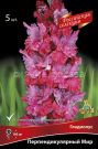 Gladiolus-Perpendikulyarnyj-mir-krupnocvetkovoj-quot-Rossijskaya-selekciya-quot-1-sht-Poisk