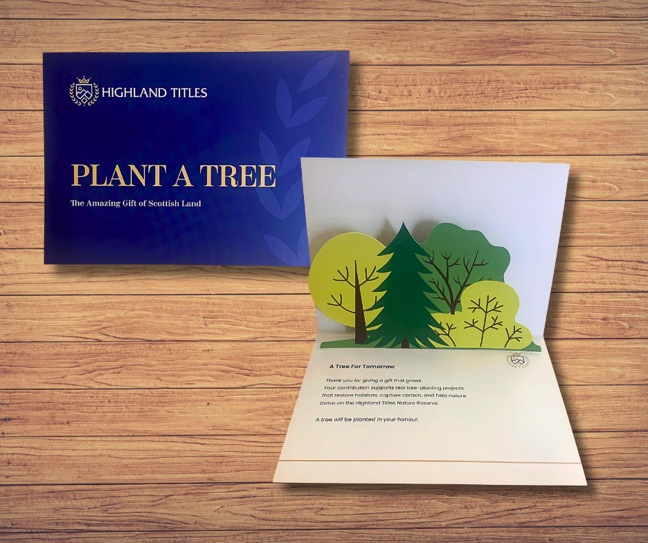 Дерево посаженное в Вашу честь (Kilnaish)