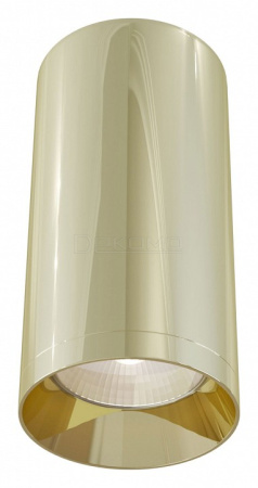 Накладной светильник Focus C010CL-01G