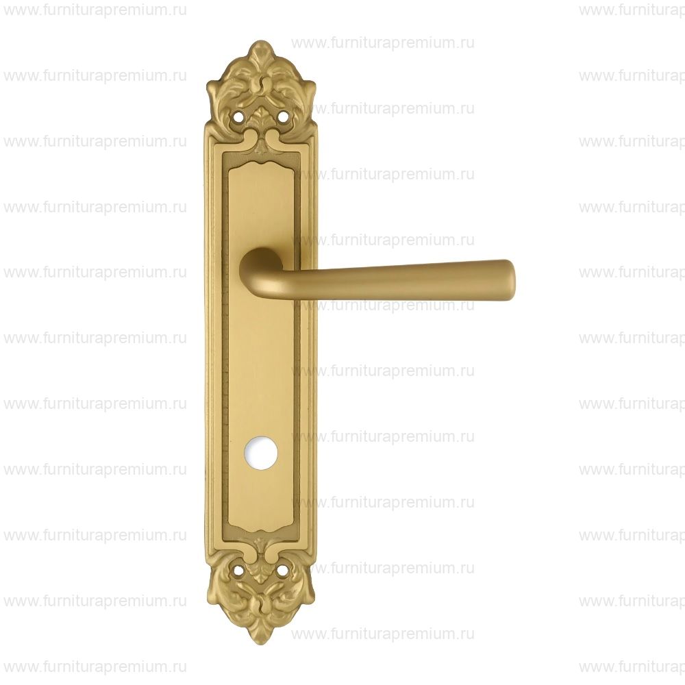 Ручка на планке Extreza Sandro 332 WC PL02