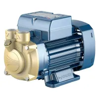 Pedrollo PVm 81 - EPDM насос вихревой 41PNV81A1T