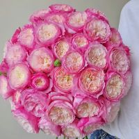 Констанс (Constance)