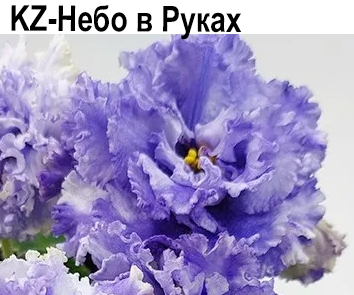 KZ-Небо в Руках (Заикина)  НОВИНКА КАТАЛОГА