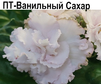 ПТ-Ванильный Сахар (Пугачева)