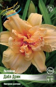 Лилейник Дабл Дрим, 1 шт (Флора Селект)