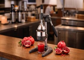 Пресс для сока гранатов Eletto PS 08