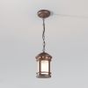 Уличный подвесной светильник Outdoor O031PL-01BR