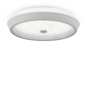 Потолочный светильник Freya FR10012CL-L24W