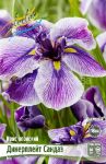 IRIS-MeCheVIDNYJ-DINeRPLeJT-SANDAJe-1-sht-Flora-Selekt