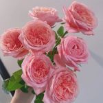 Лондон ай (London Eye)