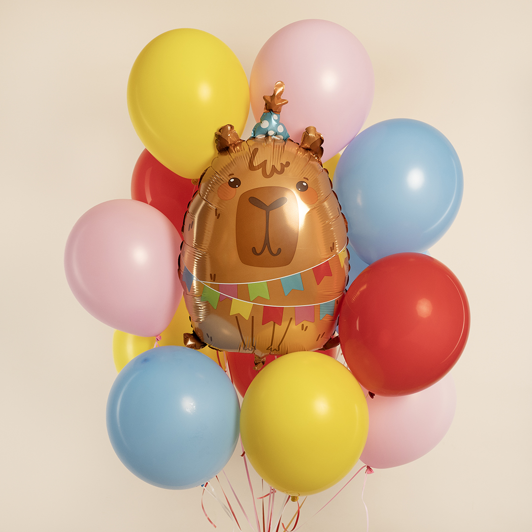 Набор из 14 латексных шаров и капибары с гелием
