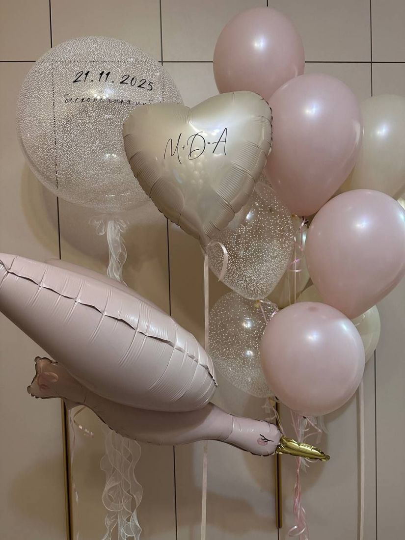 Сет с аистом модерн на выписку из роддома с гелием