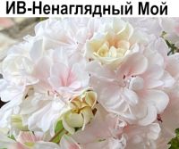 ИВ-Ненаглядный Мой