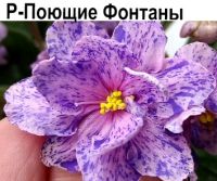 Р-Поющие Фонтаны