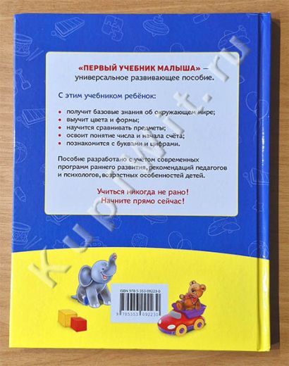 автор Чернецова-Рождественская И.В.