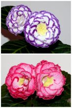 ЕН-Сила Океана/ЕН-Танец при Свечах