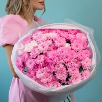 Хризантема 15 шт (Розовая нежная)