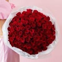 Красная роза 101шт (40см)