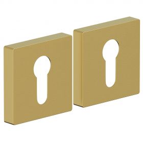 Накладка Цилиндровая Bravo AS-6CL SGold Для Межкомнатных Дверей / Браво.