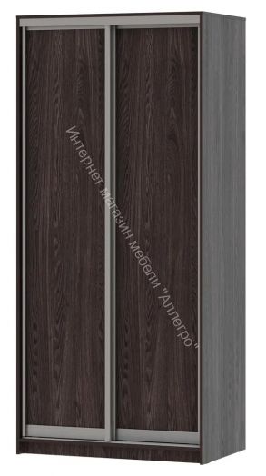 Шкаф-купе "Мираж 10.2" 2-х дверный Ясень анкор тёмный