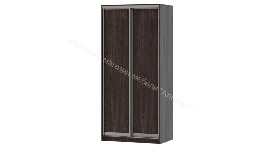 Шкаф-купе "Мираж 10.2" 2-х дверный Ясень анкор тёмный