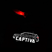 LED проекция логотипа в штатные места, на 2 двери