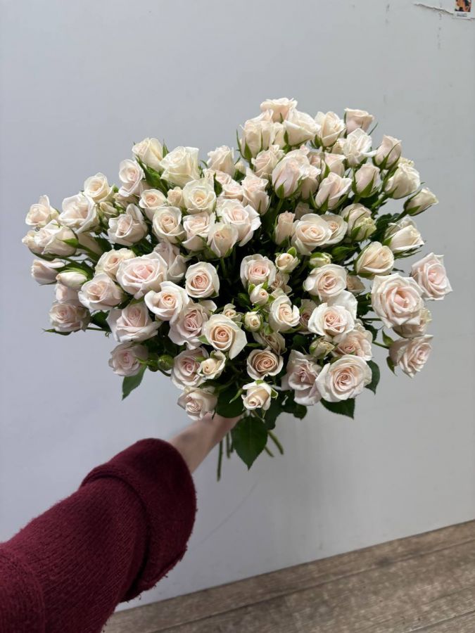 роза кустовая