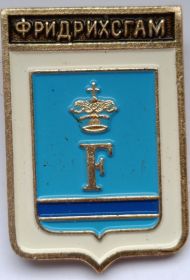 Значок герб Фридрихсгам