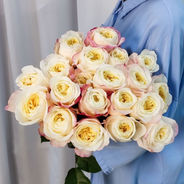 Розы пионовидные Эксклюзив