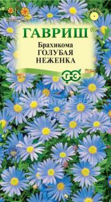 Брахикома Голубая неженка (Гавриш)