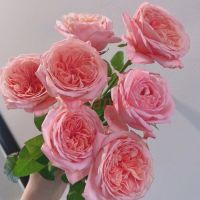 Лондон ай (London Eye) 2 сорт