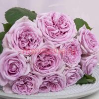 Пачули (Patchouli) 2 сорт