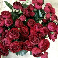 Руби Джем (Ruby Gem) 2 сорт