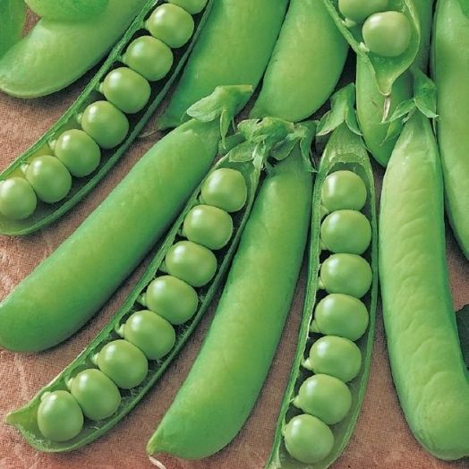 Горох Щербет, 25г семян