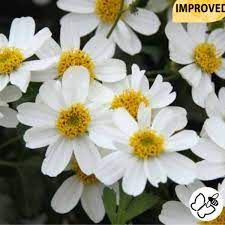 Микс № 6 ( ассорти)