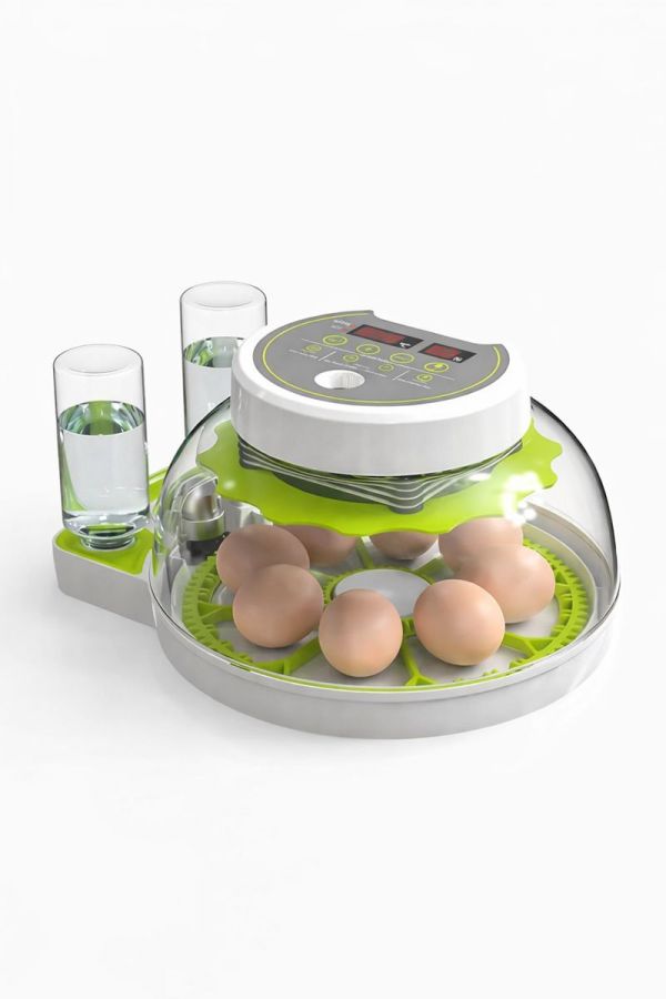 Инкубатор WQ-GY8 на 8 куриных яиц с автоматическим переворотом