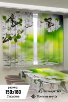 Фотошторы для кухни 10854 [зеленый]