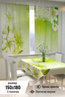 Фотошторы для кухни 10831 [салатовый]