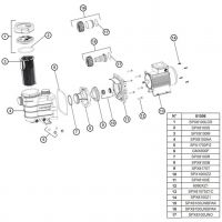 Насос Hayward PL 81003E2 IE2 (220V, пф, 7,3m3/h*8m, 0,36kW, 0,33HP) (SP81025Z1C)