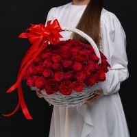 101 красная роза 40 см (Кения) в корзине