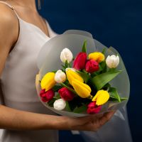 Тюльпаны микс 15 шт