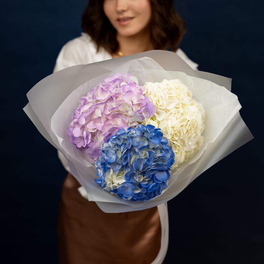 Гортензия микс 3 шт