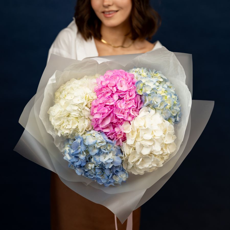 Гортензия микс 5 шт