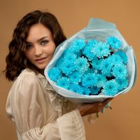 5 голубых хризантем