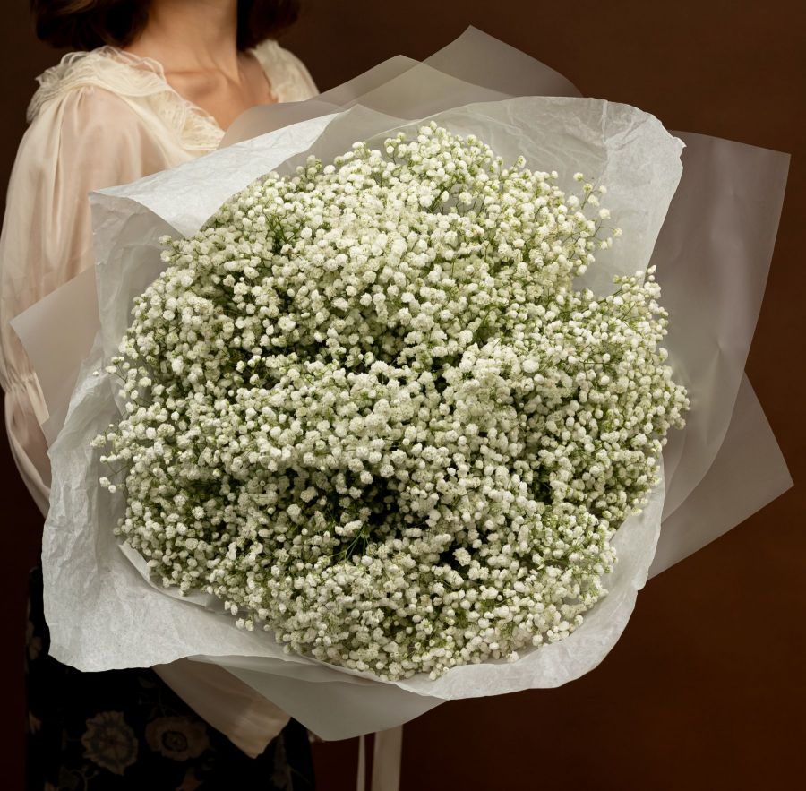 Гипсофила белая 15 шт