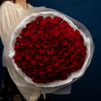 Красная роза 101 шт (Кения 40см)